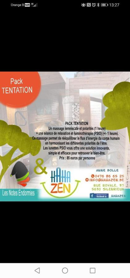 Maison D'Hote Les Notes Endormies Suite Le Refuge Walcourt Exterior photo